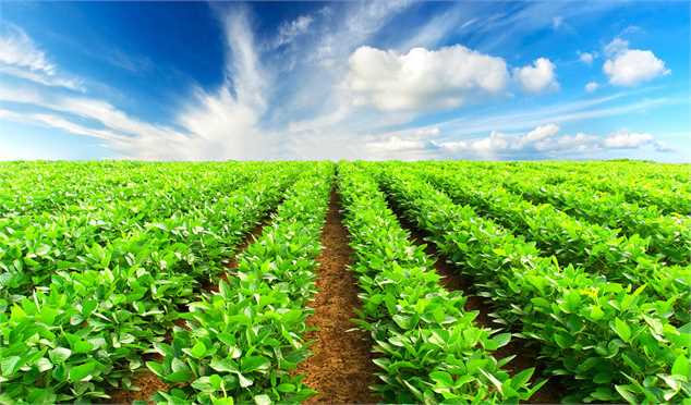 الگوی تجاری‌سازی کشاورزی ایران