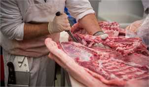«دلالان» عامل افزایش غیر منطقی گوشت قرمز