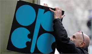 اوپک تولید را کاهش ندهد قیمت نفت سقوط می‌کند