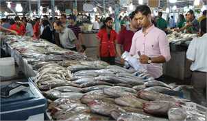 چه خبر از بازار ماهی؟