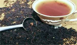 چای تولید داخل ۳۰ درصد نیاز مصرفی کشور را تامین می‌کند
