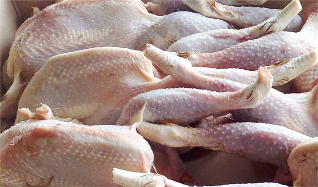 تعرفه صادرات مرغ کاهشی می‌شود