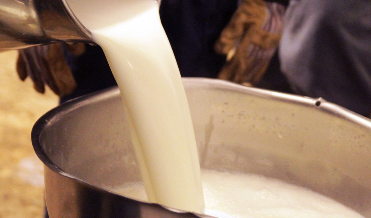 خرید شیرخام ۳۰ درصد کاهش یافت