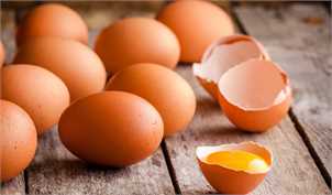 بازار تخم‌مرغ تعریفی ندارد؛ نرخ منطقی هر شانه تخم‌مرغ ۲۴ هزار تومان