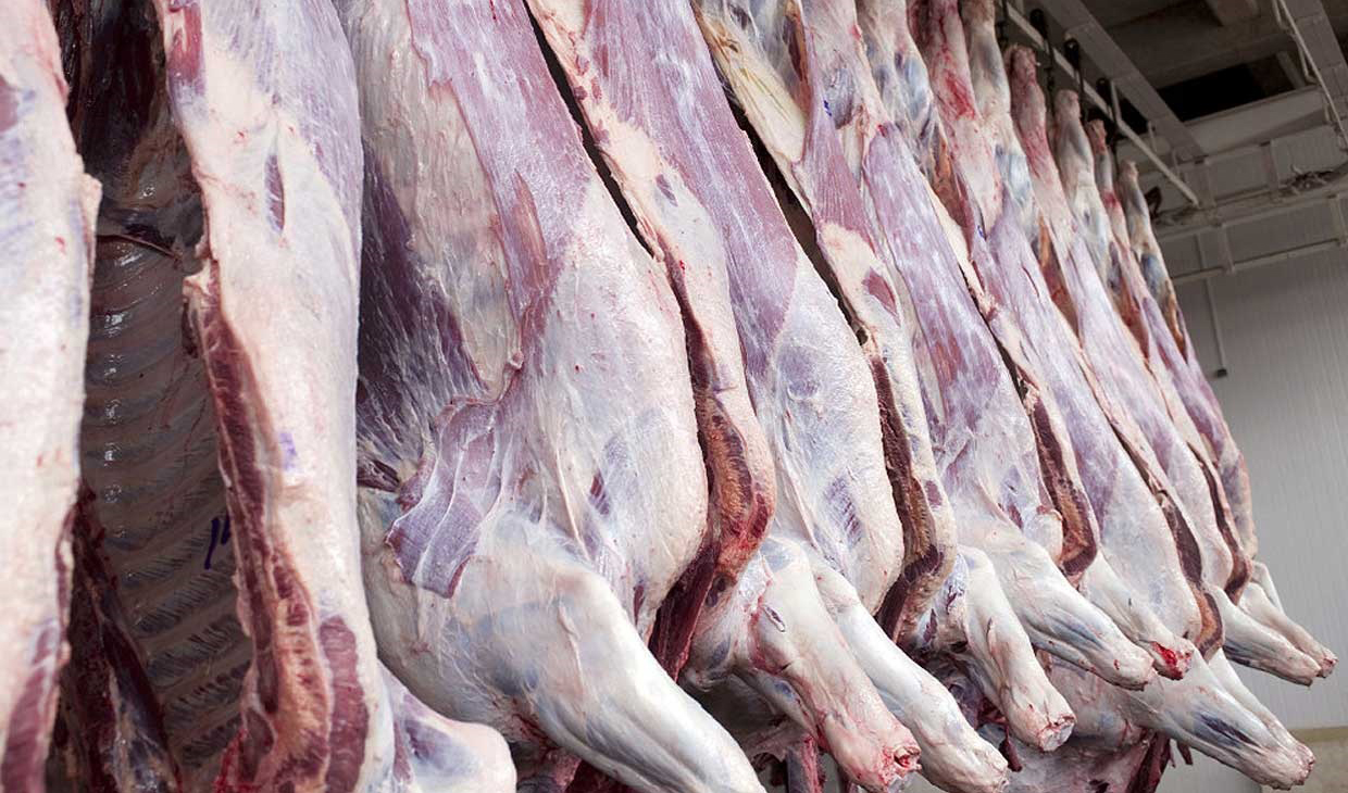 رکود در بازار گوشت / قیمت هر کیلو شقه گوسفندی ۱۰۰ هزار تومان