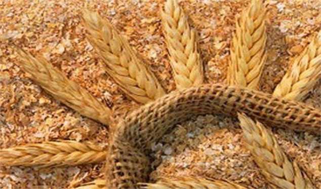 دولت برنامه‌ای برای افزایش قیمت نان ندارد/ واردات ۲میلیون تن گندم طی امسال