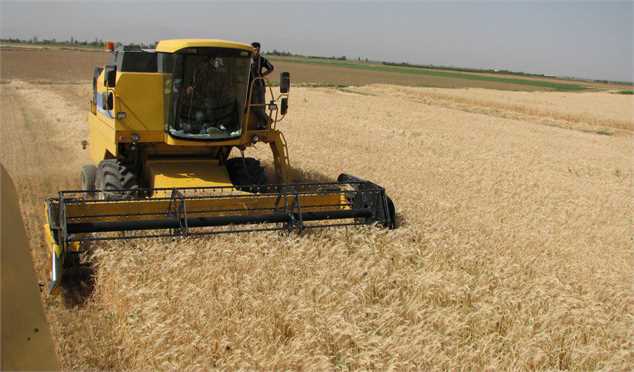 خرید گندم از کشاورزان سرعت گرفت