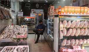 رییس اتحادیه پرنده و ماهی: توزیع مرغ با نرخ ۱۵ هزار تومان از فردا در تهران