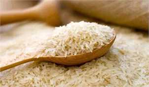 برنج خارجی ۱۶ درصد گران شد