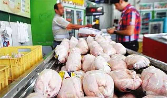 گران فروشی مرغ تایید شد/ مشکل مرغدار قیمت بالای نهاده است