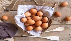 عرضه تخم مرغ کمتر از نرخ مصوب ستاد تنظیم بازار