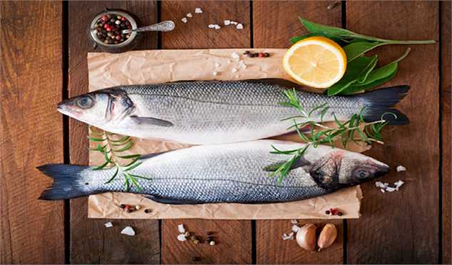 تولید ماهی قزل آلا به ۱۴۰ هزار تن می‌‌رسد؛ قیمت هر کیلو قزل آلا ۲۶ هزار تومان