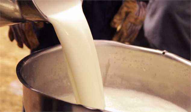 احتمال افزایش قیمت شیرخام در هفته آینده