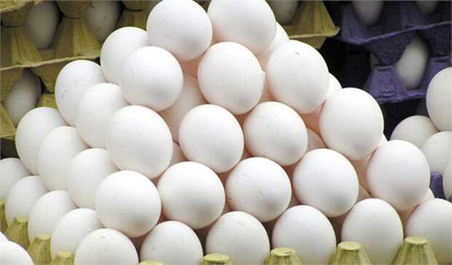 مازاد ماهانه تخم مرغ به ۱۰ هزار تن رسید