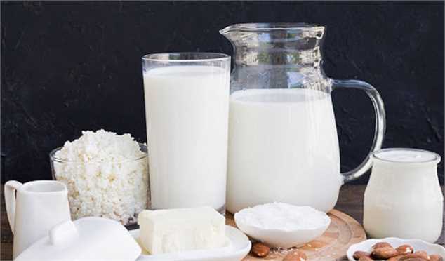 رشد ۸۸ درصدی قیمت شیرخام طی یک سال/۶۵ درصد هزینه تمام‌شده محصولات لبنی مربوط به شیرخام است