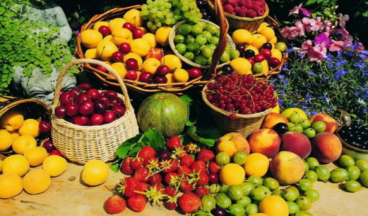 ۳ دلیل گرانی هویج در بازار/ درباره قیمت میوه‌ها بزرگ نمایی می‌شود