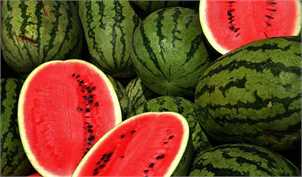 پیش‌بینی برداشت ۲۱۰ هزار تن هندوانه برای شب یلدا