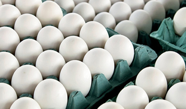 تخم مرغ به شانه‌ای ۴۸ هزار تومان پرکشید!