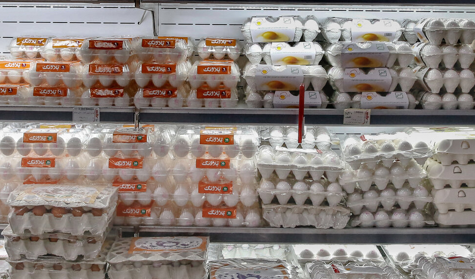 روند مشخصی برای تعیین قیمت تخم‌مرغ در واحدهای بسته‌بندی وجود ندارد