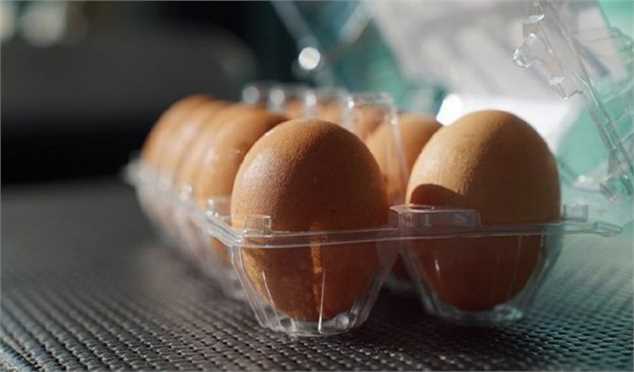 دست درازی به جیب مردم به بهانه بسته‌بندی/ بسته‌بندی تخم‌مرغ به نفع فروشگاه‌هاست نه مردم