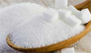 خطر محسوس کاهش تولید شکر