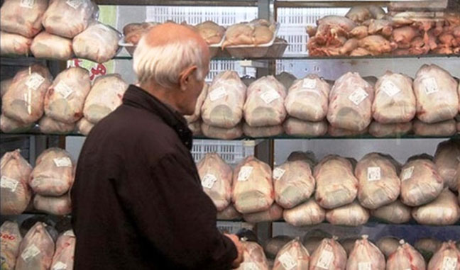 عرضه ۶ هزار و ۶۲۲ تن گوشت مرغ گرم به بازار