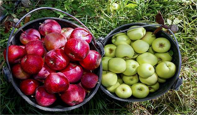 قیمت انواع میوه‌های فصلی/ گرانی سیب‌زمینی به دلیل جا‌به‌جایی فصل