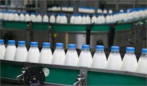 مخالفت دامداران با تصمیم دولت برای افزایش قیمت شیرخام/ افزایش ۷۰ درصدی قیمت لبنیات مبنا ندارد