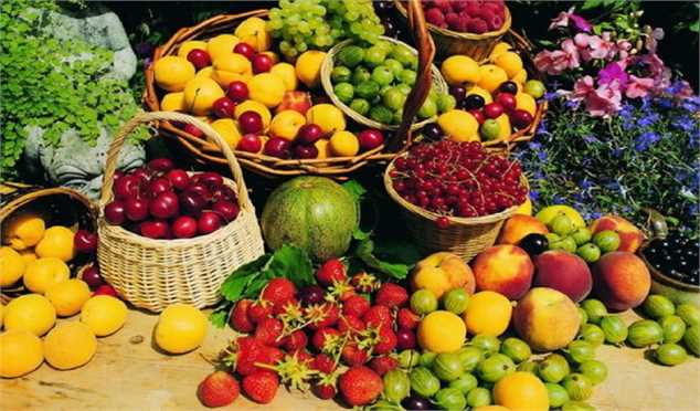 صادرات علت اصلی نوسان قیمت هندوانه/ کاهش قیمت میوه در روزهای آینده
