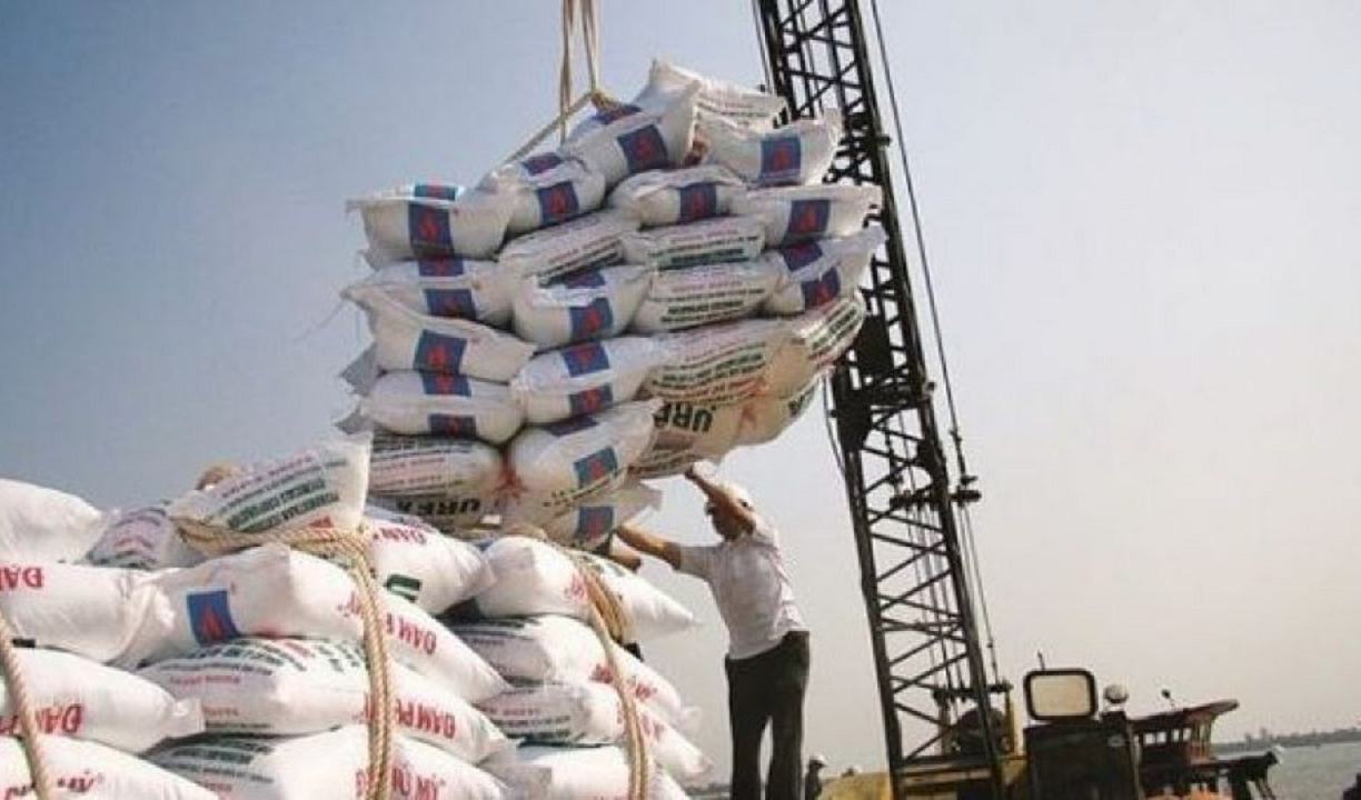 دستور ترخیص برنج های وارداتی به گمرک صادر شد