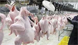 اختلاف قیمت ۱۴ هزارتومانی مرغ از تولید تا مصرف!