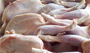 قیمت واقعی گوشت مرغ برای مصرف‌کنندگان باید ۲۷ هزار و ۵۰۰ تومان باشد