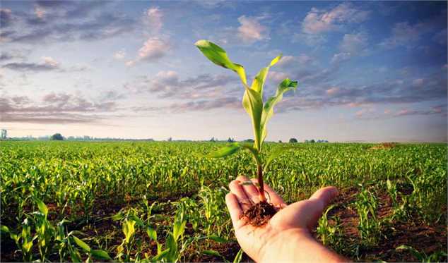 7 دلیل برای لزوم برنامه‌ریزی استراتژیک در حفظ نباتات کشور