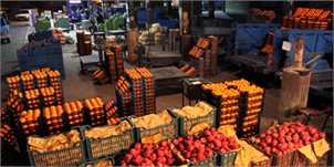 مجوز واردات ۵ محصول کشاورزی به بازار عراق صادر شد