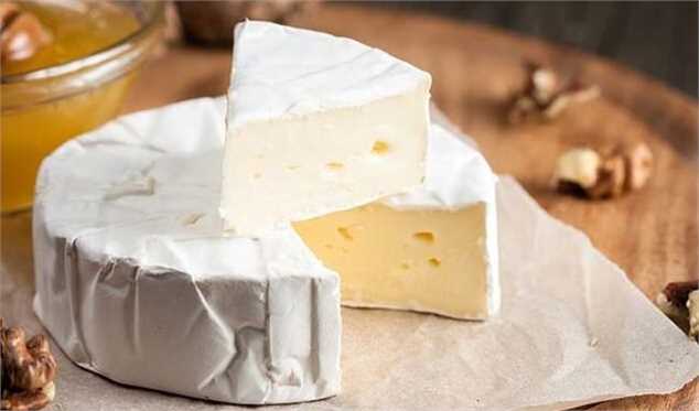افزایش ۳۸ درصدی قیمت پنیر/ جایگزین گوشت ٢٠٠ درصد گران شد!