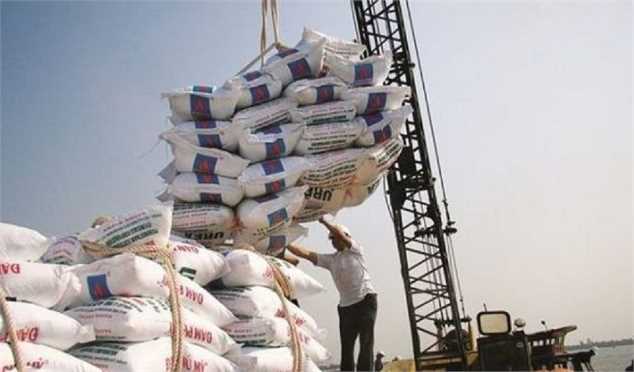 آغاز توزیع ۱۰۰ هزار تن برنج در سطح کشور