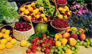 ثبات قیمت میوه طی ماه آینده به دلیل تنوع میوه‌های تابستانه