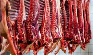 عرضه ۵۲٫۸ هزار تن گوشت به کشتارگاه‌ها در مرداد ۱۴۰۰