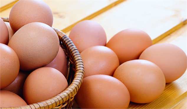 مرغداران نمی‌دانند تخم مرغ را به چه قیمتی عرضه کنند!