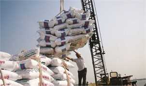 تشریح دلایل معطلی ۱۳ هزار تن برنج در گمرک/ بخش خصوصی امکان واردات از تایلند را ندارد/ تامین ۸۵ درصد کسری برنج کشور از هند