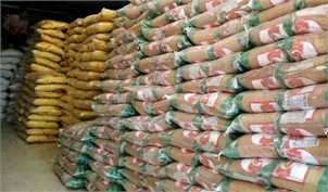 ترخیص ۱۳ هزار تن برنج دپو شده در گمرک از فردا
