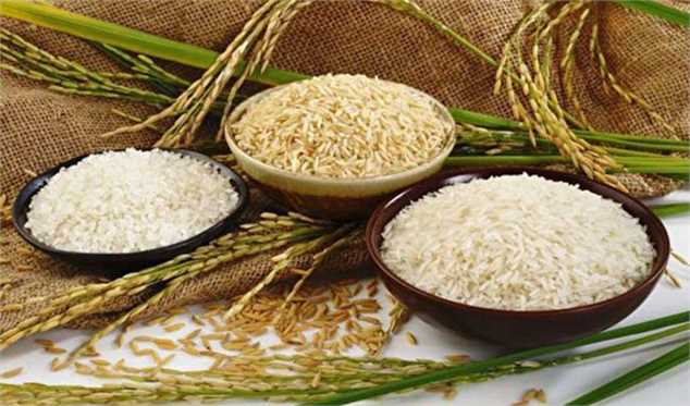 رکود و ثبات قیمت در بازار برنج،حبوبات و چای/توزیع برنج ۱۳هزار تومانی توسط شرکت بازرگانی دولتی ایران