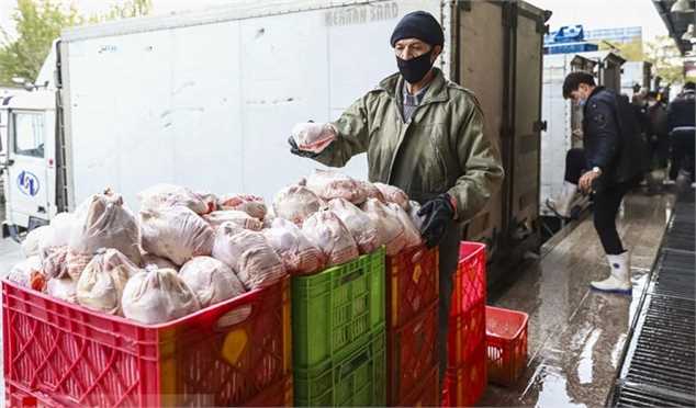 ستاد تنظیم بازار نرخ مصوبه مرغ را اعلام نکرده است