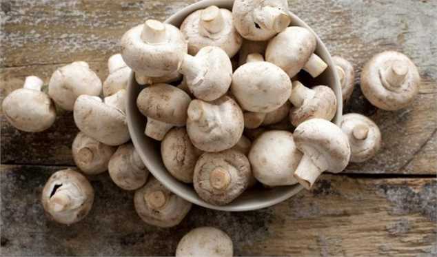 قیمت منطقی هر کیلو قارچ در بازار ۴۵ هزار تومان/ تولید قارچ به ۱۸۵ هزار تن می‌رسد
