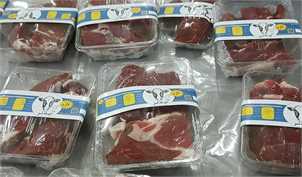 احتمال افزایش قیمت گوشت با حذف ارز ترجیحی/ کشورهای عربی پول بالایی برای دام مولد ایران می‌پردازند