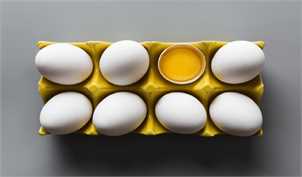 ماهیانه ۸۵ هزار تن تخم مرغ تولید می‌شود