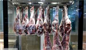 قیمت گوشت قرمز تا پایان سال بدون تغییر خواهد بود