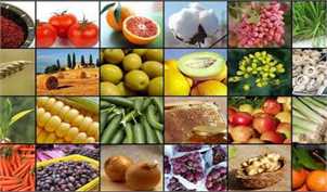 توجه کامل به امنیت غذایی، برنامه جدید وزارت جهاد کشاورزی است