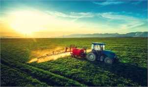 جزییات و نحوه قیمت‌گذاری محصولات کشاورزی در سال زراعی ۱۴۰۱