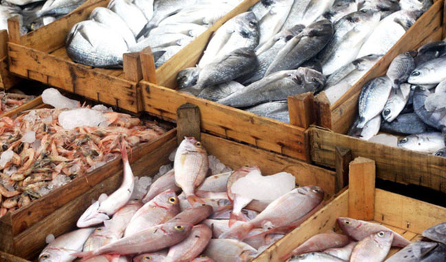 نرخ انواع ماهی اعلام شد/ ماهی «زبیده» کیلویی ۴۰۰ هزار تومان